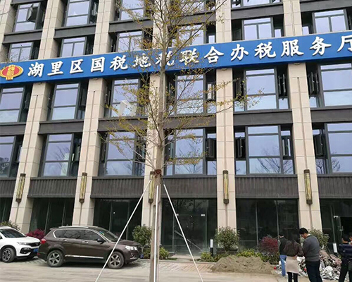 国税地税联合办税服务厅